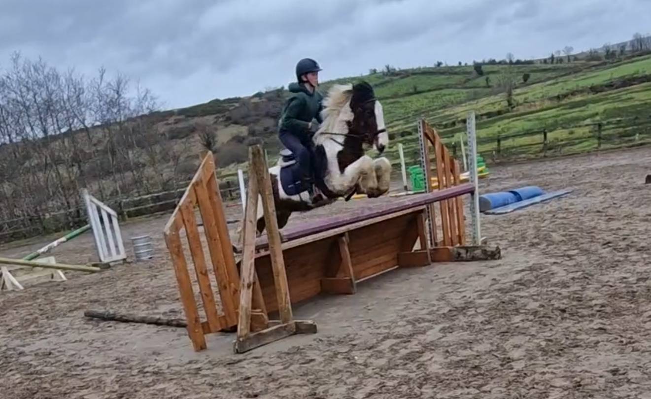 sligo horse school